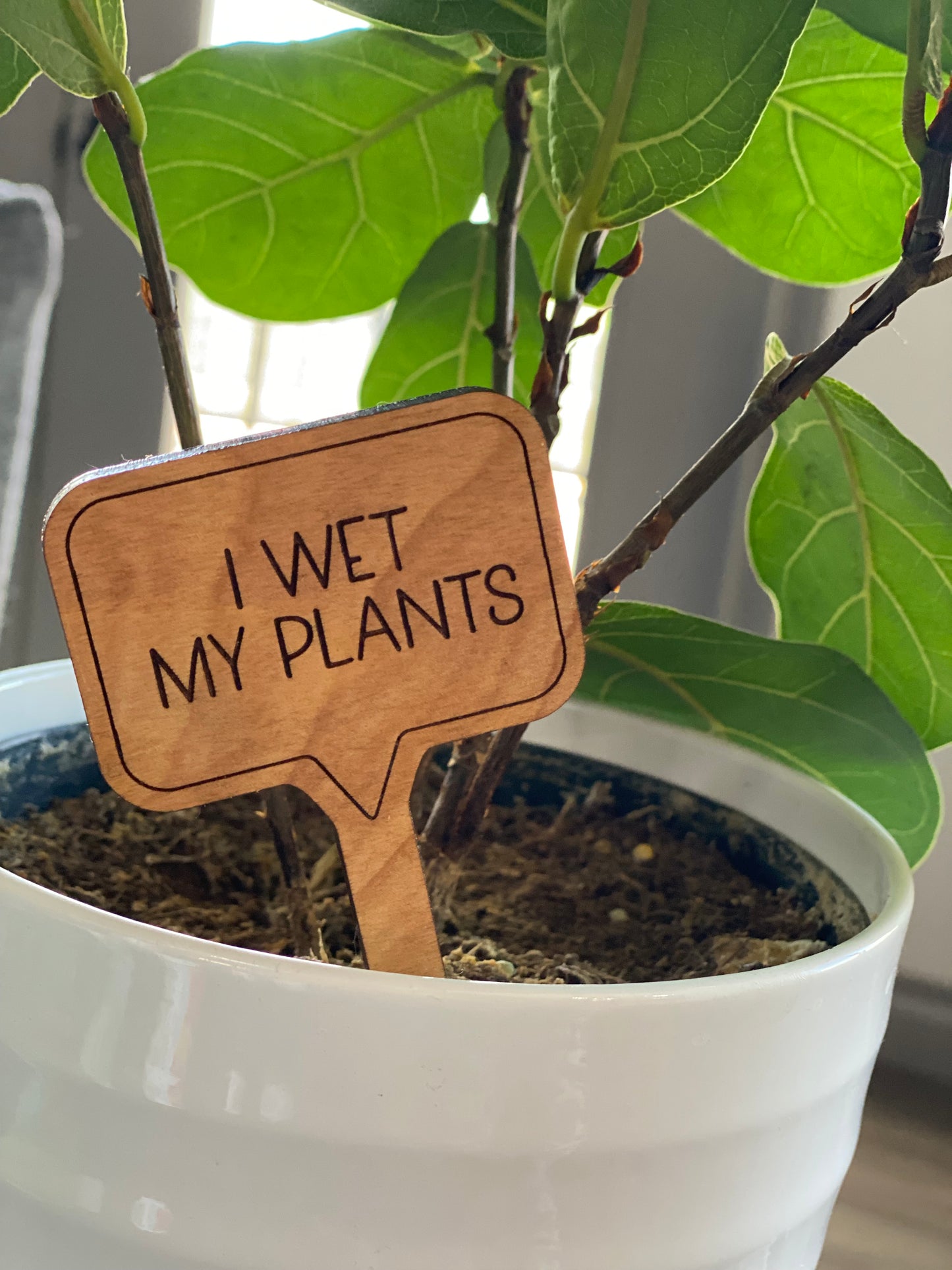 Snarky Plant Stakes