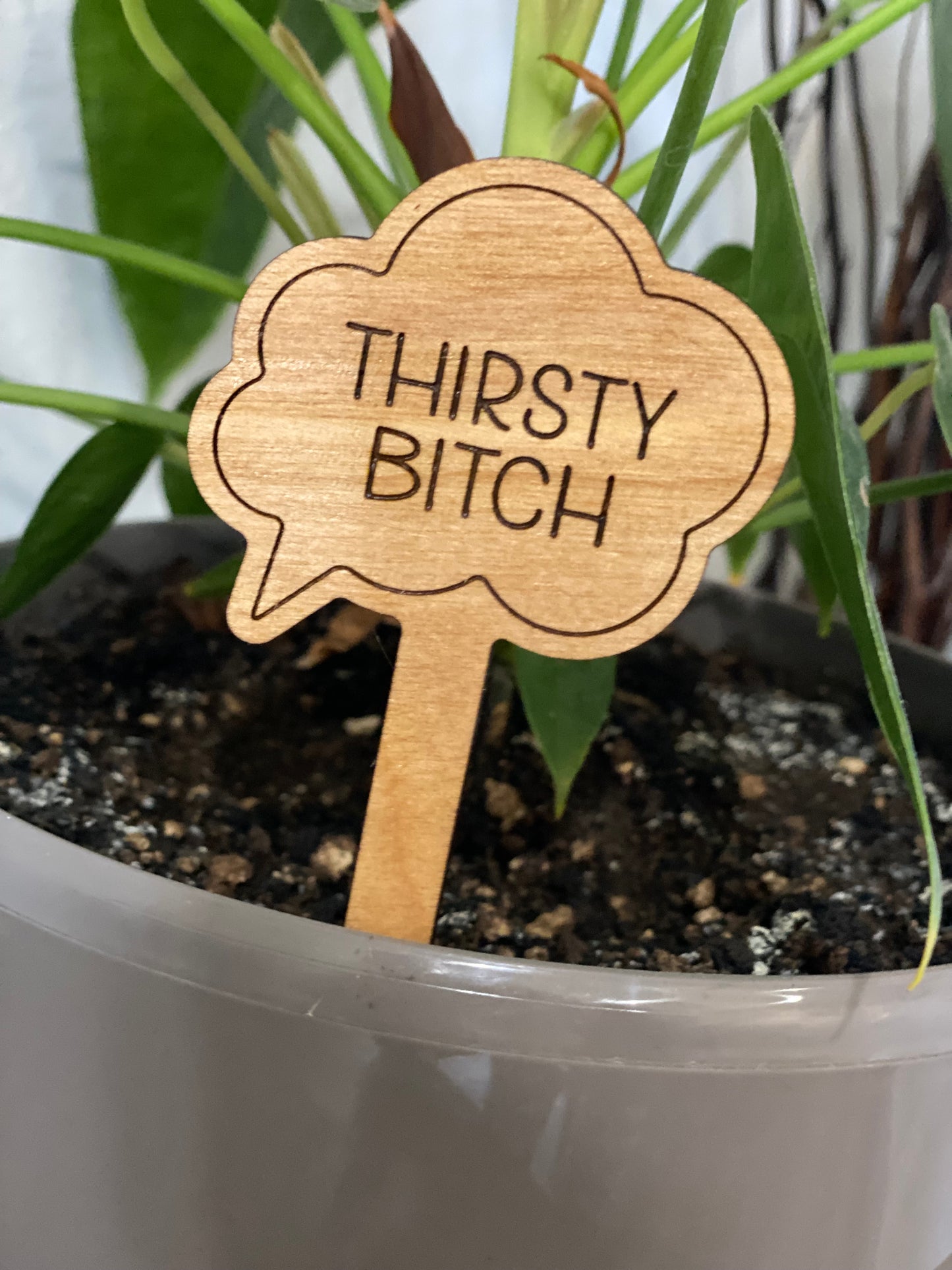 Snarky Plant Stakes