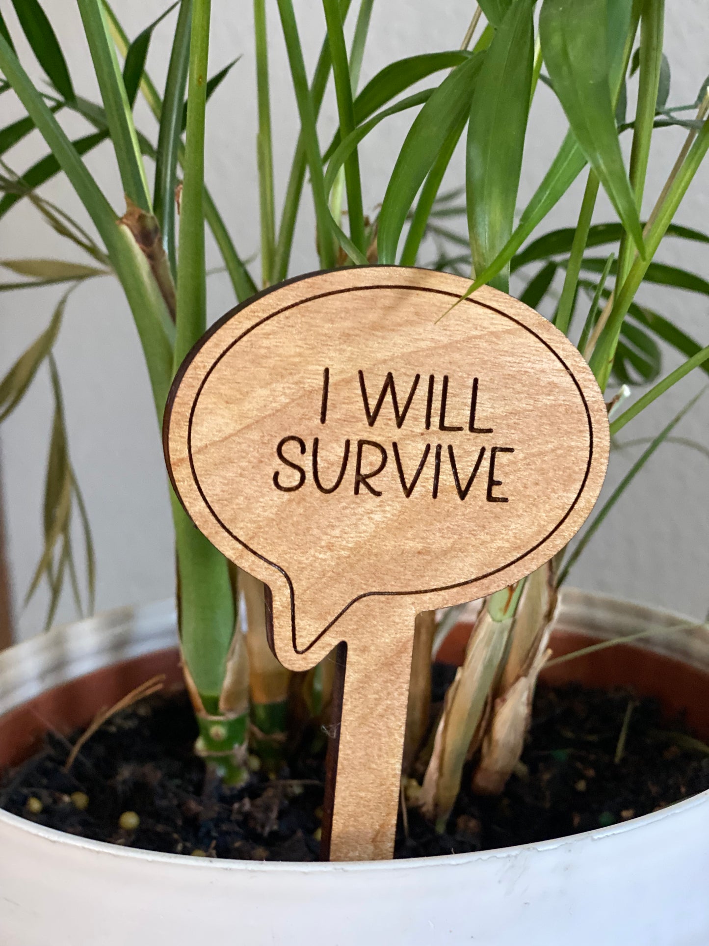 Snarky Plant Stakes